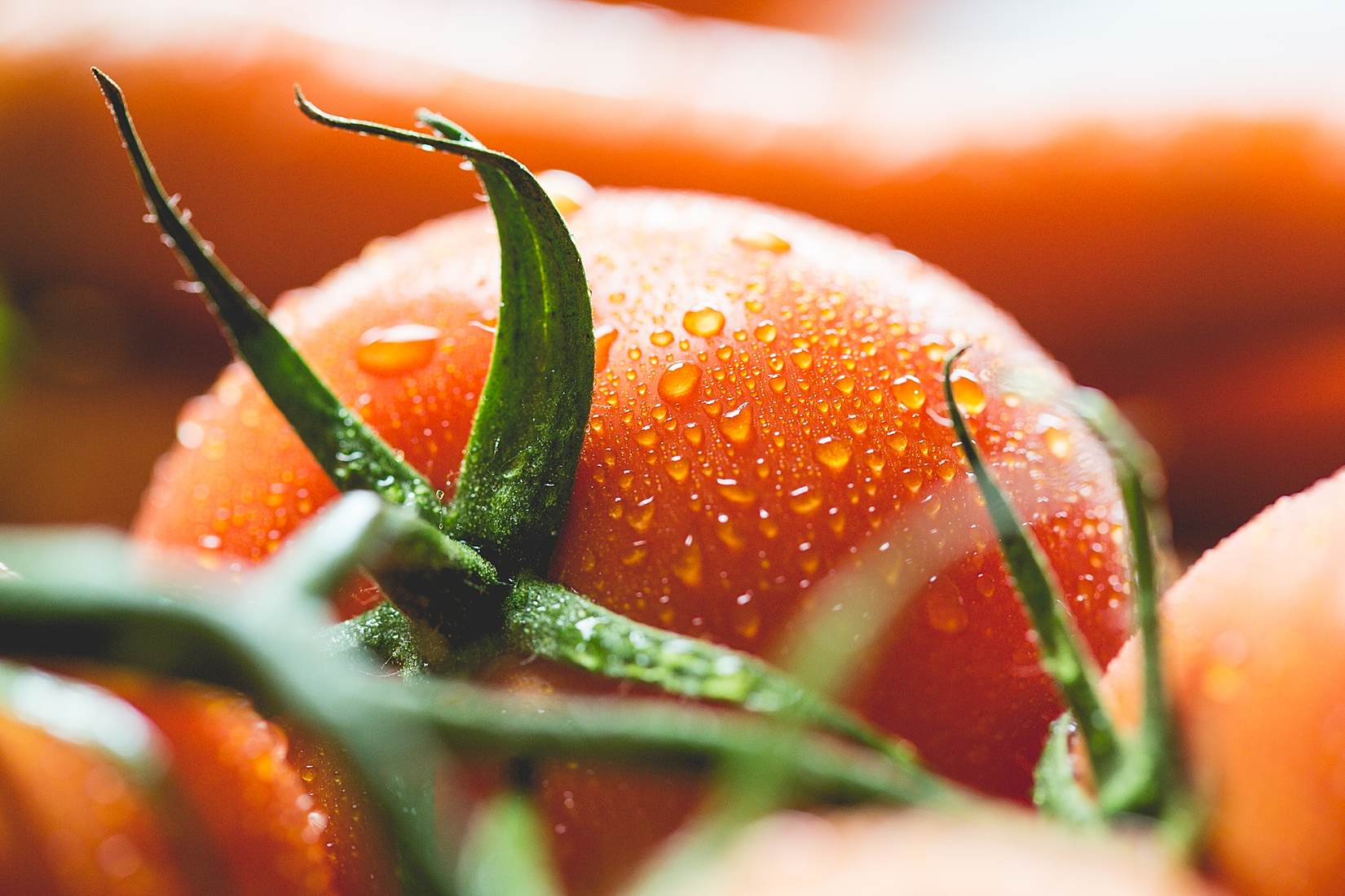 Wet Tomato Close Up Stock Photo