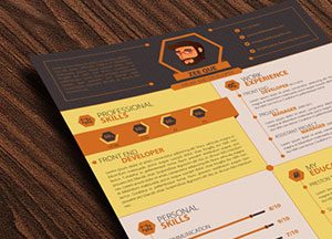 20-best-resume-templates-for-developers-ui-graphic-and-web-designers