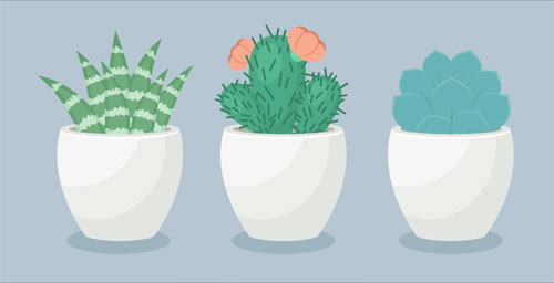 create-a-trio-of-succulents-in-adobe-illustrator