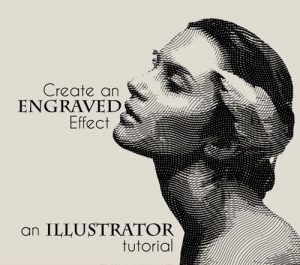 how-to-create-an-engraved-illustration-effect-in-illustrator