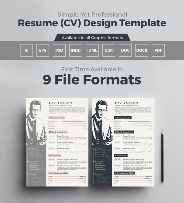 10  newest free  u0026 premium resume templates for graphic