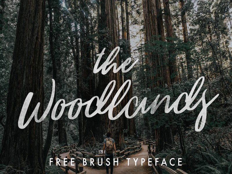 The-Woodlands-Free-Brush-Typeface
