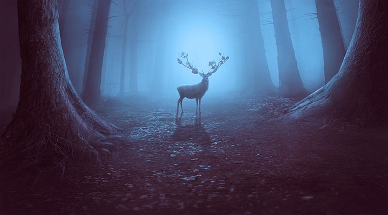 How-to-Create-a-Mysterious-Forest-Scene-With-Adobe-Photoshop