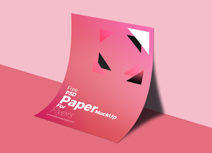 Free-PSD-A4-Paper-MockUp-For-Flyers-300.jpg