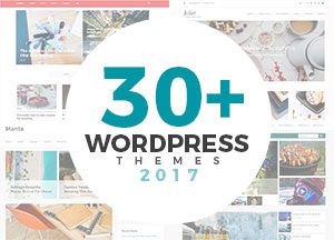 30+-Newest-Free-Ecommerce,-Blog-Magazine-SEO-Ready-WordPress-Themes-For-2017
