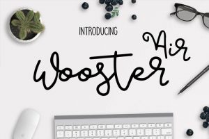 Air-Wooster-Beautiful-Brush-Style-Font