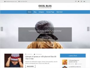Excel-Blog-Modern-SEO-Ready-Free-Blog-WordPress-Theme