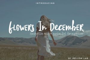 Flowers-in-December-handwritten-Modern-Marker-Font