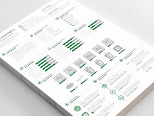 Free-Personal-Designer's-CV---Resume-Template-&-Icons