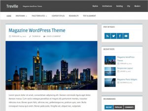 Treville-Elegant-Blogging-&-Magazine-Free-WordPress-Theme