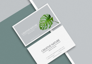 Free-Letter-Head-and-Business-card-Mockup-PSD-Preview