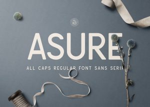 Asure-All-Caps-Regular-Font-Sans-Serif