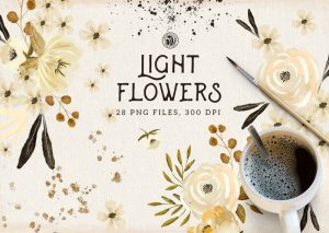 Light-Flowers-28-PNG-Files
