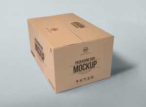 Two-Packaging-Box-Mockups-Freebie