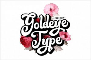 goldeye-type-premium-best-fonts-collection-of-2018-21