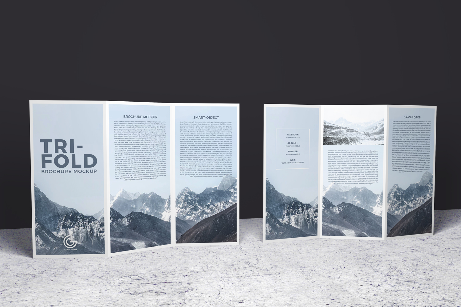 Free 2 Sided Tri Fold Brochure Mockup PSD #1Graphic Google Tasty