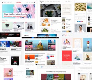 20-Top-WordPress-Blog-&-Magazine-Themes-For-2019-300