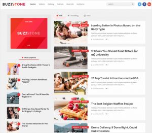 Buzz-Stone-Magazine-&-Viral-Blog-WordPress-Theme