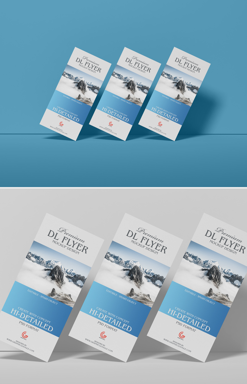 Free-Brand-Dl-PSD-Flyer-Mockup-Design-2019