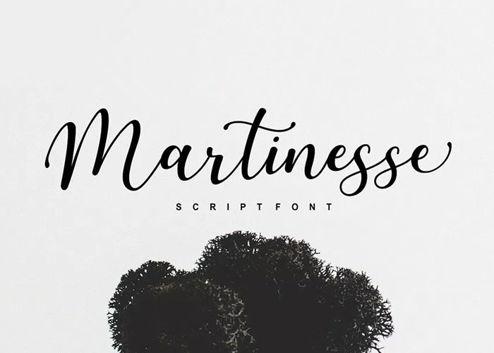 Free-Martinesse-Beautiful-Script-Demo-For-Designers