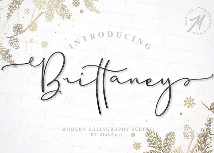Free-Modern-Calligraphy-Brittaney-Script-Demo