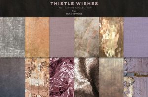 Thistle-Wishes