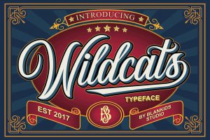 Wildcats-Typeface