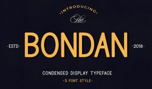 Bondan-Condensed-Display-Typeface