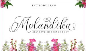 Molandika-Stylish-Font