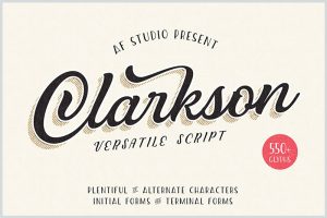 Clarkson-Stylish-Script
