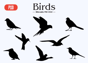 Free-Birds-Silhouette-PSD-2020-300.jpg