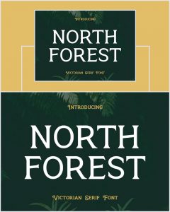 North-Forest-Vintage-Modern-Serif-Font