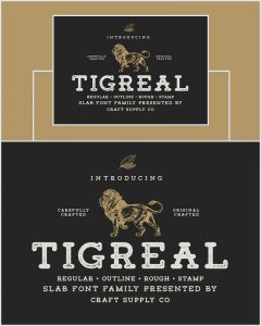 Tigreal-Modern-Serif-Font-Family