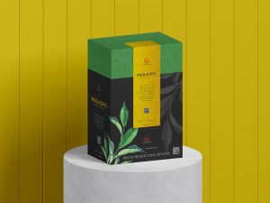 Free-Brand-Product-Packaging-Box-Mockup-2