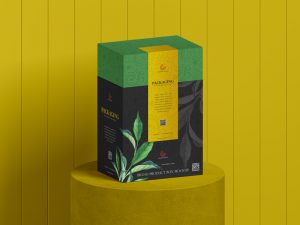 Free-Brand-Product-Packaging-Box-Mockup-3