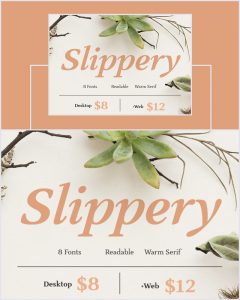 Slippery-Modern-Warm-Serif-Font