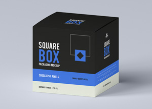 Free-Modern-Box-Packaging-Mockup-300