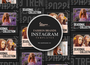 Free-Modern-Aesthetic-Fashion-Brands-Instagram-Templates-300