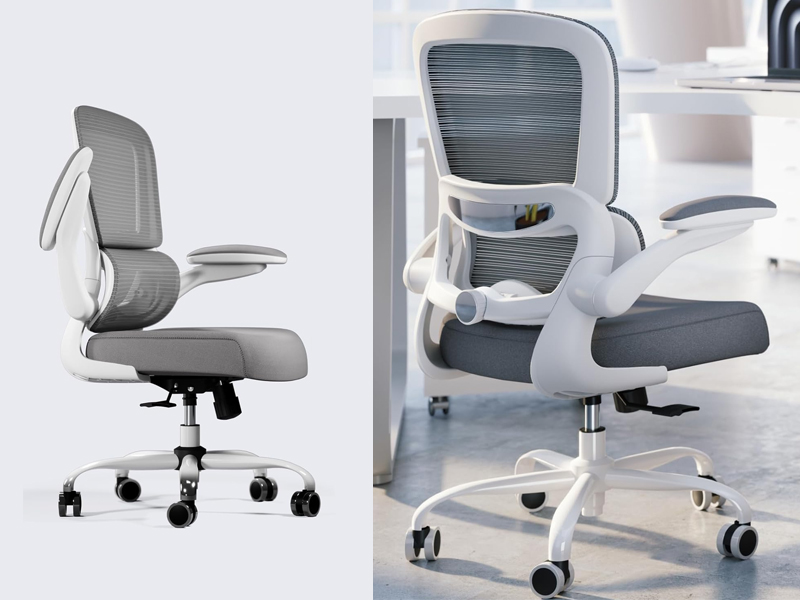 Executive-Adjustable-Lumbar-Support-Desk-Chair