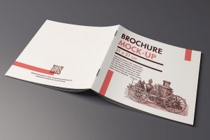 Free Title and Inside Brochure Mockup