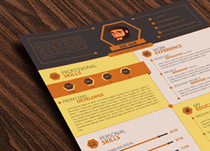 20-Best-Resume-Templates-For-Developers-UI-Graphic-and-Web-Designers.jpg