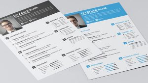 free-professional-resume-template