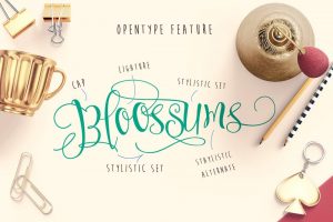 sweetline-a-modern-yet-classic-calligraphy-font-1