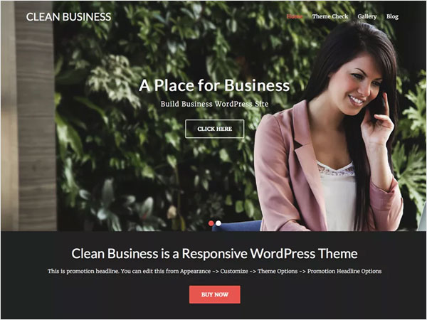 clean-business-a-clean-responsive-and-incredibly-resourceful-wordpress-theme