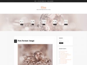 elsa-a-perfect-wedding-wordpress-theme-2017