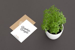 free-elite-class-business-card-mock-up-psd