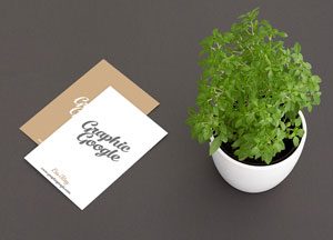 free-elite-class-business-card-mock-up-psd-file