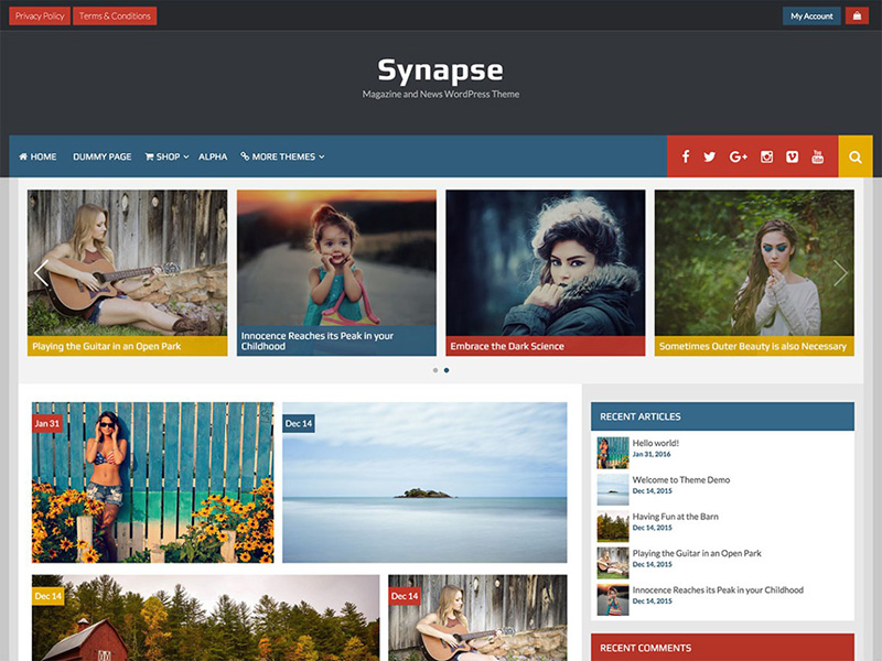 free-synapse-stylish-magazine-wordpress-theme