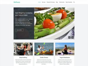 free-wellness-a-responsive-multipurpose-wordpress-theme-for-health-fitness