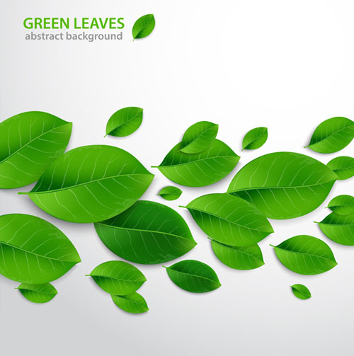 how-to-create-realistic-vector-leaves-in-illustrator